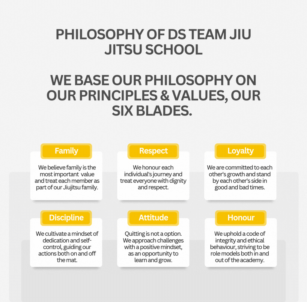 DS Team Jiujitsu School Philosophy